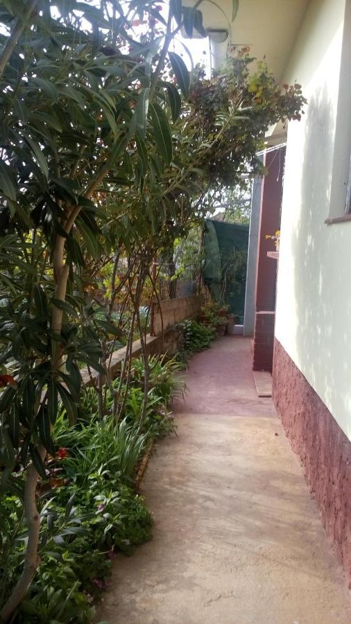 Sukošan Pero Apartmanヴィラ エクステリア 写真